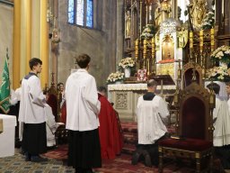 Odpust ku czci Św. Krzyża i XIII Charytatywny Festyn Parafialny, 14.09.2025